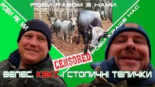 Сірі українські. Велес. Кекс і столичні телички | Роби, як ми! Роби разом з нами! Роби краще нас!