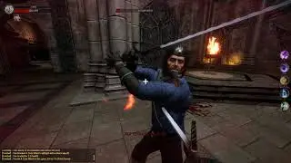 Swordai 2v3 Outside boss room