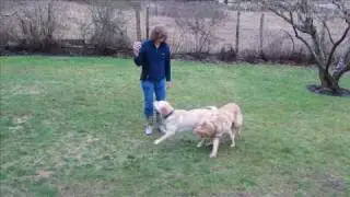 Emma and Jasmine Playing with Lynn