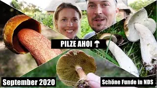 Kleine Runde in die Pilze - Niedersachsen Ende September