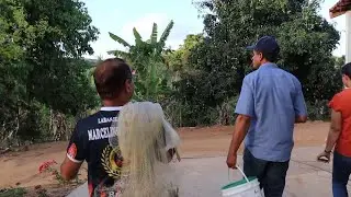 PEGANDO TILÁPIAS NO POÇO PARA MEU COMPADRE + PESCANDO NO COVO