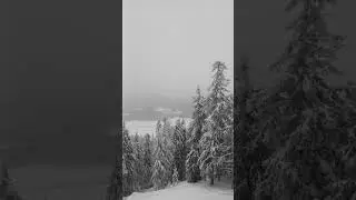 Nordic Nature and Tunes part 1