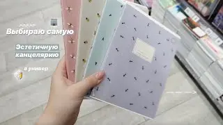 НАШЛА САМУЮ ЭСТЕТИЧНУЮ КАНЦЕЛЯРИЮ | Back To School 2020