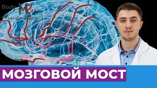Упражнение по улучшению мозгового кровообращения. Бондарь М.В.