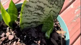 Don’t fear change 🌱
