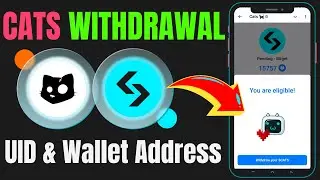 Cats Airdrop Withdrawal TO Bitget - Find UID and Wallet Address on Bitget