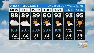 7 Day Forecast