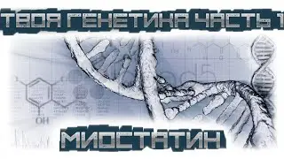 Твоя генетика часть 1 