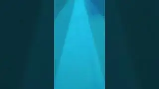 30 июля 2022 г.