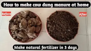 How to make cow dung manure at home in 3 days only | Natutal fertilizer