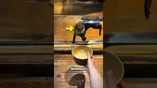 She gave this otter a gift 🥺❤️