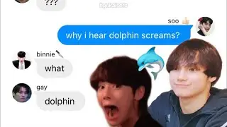 txt and skz texts: why soobin hear dolphin screams..? 🐬