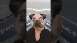 Makes Me Wonder #comedy #funnycomedy #shortsfeed #funny #viral #shortcomedy #shortsonyoutube