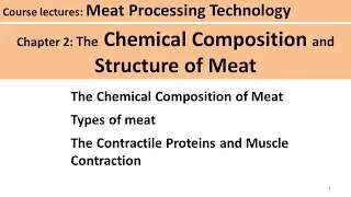 C2-01 meat composition| Meat Technology