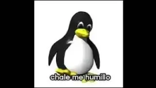 CHALE ME HUMILLO 😞