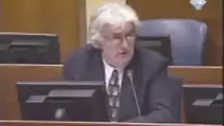 Radovan Karadzic-Uvodna rec odbrane 29/46