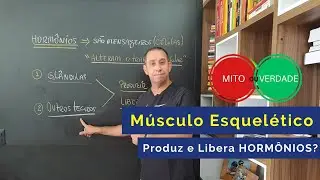 Does Skeletal Muscle Produce and Release Hormones? (Myth or Truth) Ghrelin and Leptin