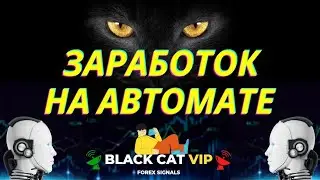 Копирование BLACK CAT.  Заработок в интернете на автомате.