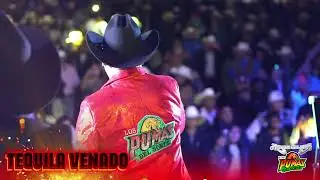 Tequila Venado ( En Vivo) Ramon Balver y Los Pumas del Norte