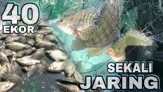 SEKALI JARING DAPAT 40 EKOR IKAN MUJAIR||DANAU BATUR