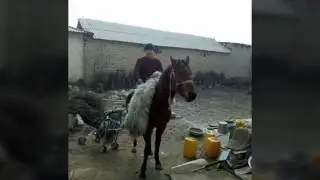 АШТ. ЖИГДА. ОТ. УЛОК.     МУСУЛМОН ПОЛВОН