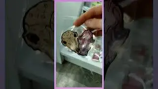 Продвигаю полочку с мерчом! 