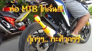 ท่อ MTB - M-Slaz ไก่ลั่น!! ต้นกะต๊ากๆ กลางไก่ลั่น ปลายไส้ทะลัก 555