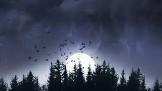 Кривоногий и хромой