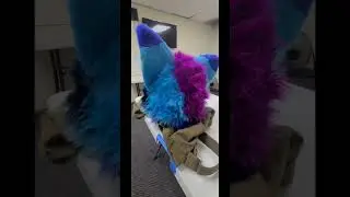 wearing my Fursuit to my last day at work