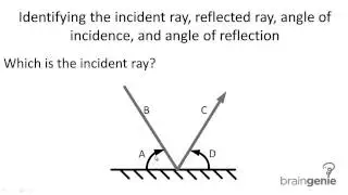 Physics 7.3.3.1 Identifying  incident ray, reflected ray, angle of incidence, angle of reflection.