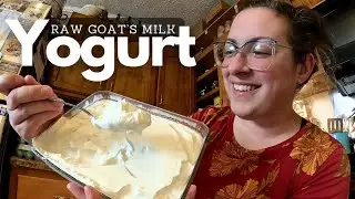 THICK & Creamy Raw Goat's Milk Yogurt With NO HEATING or Incubation