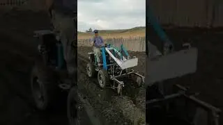 Мой способ посадки картошки.