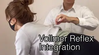 Manual therapy for Vollmer Reflex