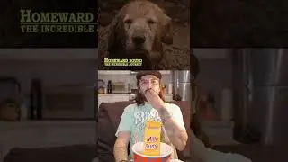 Homeward Bound taught us the toughest lessons in life  