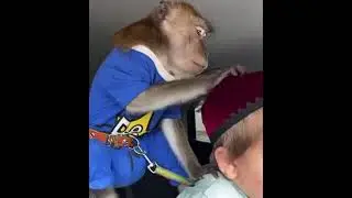 Нашёл😂 Хасбик и Джими