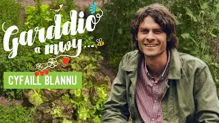 Garddio a Mwy | Cyfaill Blannu