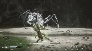49