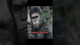 ¿Es posible que los simios lleguen a hablar? #ciencia #curiosidades #cine #primates
