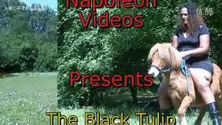 small pony riding by big lady