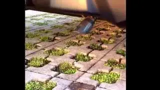 ハスラー マフラー音