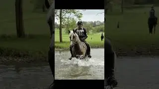 The rise of my horse Willow #horse #equestrian #equine #horselover #horseriding