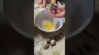 Классная штука для перепелиных яйц #перепелиныеяйца #здоровье #продуктыдляздоровья #яйца #перепела