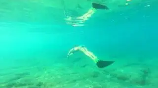 моноласта