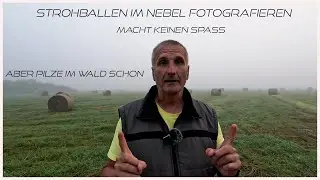 Fotografie im Nebel macht keinen Spaß, dann doch lieber Pilze im Wald Fotografieren.