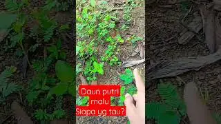 shy daughter leaves