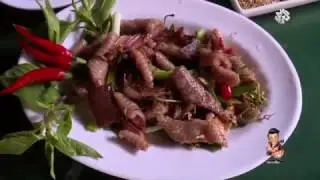وجبة لحم الكوبرا الملكية بالفييتنام