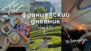 Французский дневник #06 ✈️✨последний день и возвращение