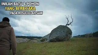 Misteri Batu dan Pohon Yang Menyapa Rosulullah SAW