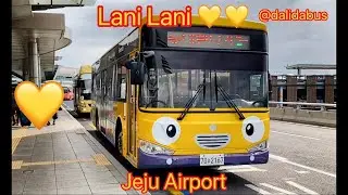 #Lani #Tayo Gani Rogi #Tayobus World Clip Korea 30Minutes  #타요버스 30분 세상