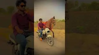 Horse lovers || horse riding || 